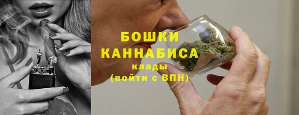дурь Лиски
