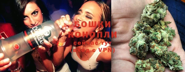 мдпв Липки
