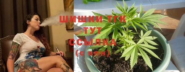дурь Лиски